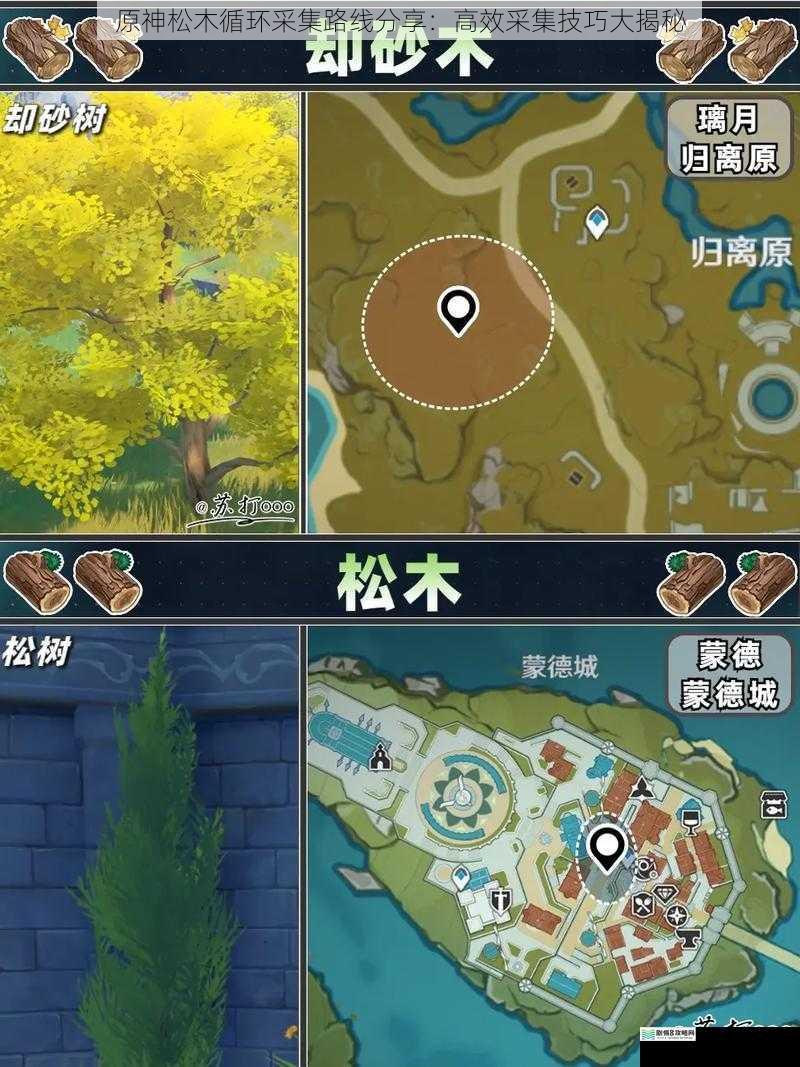 原神松木循环采集路线分享:高效采集技巧大揭秘
