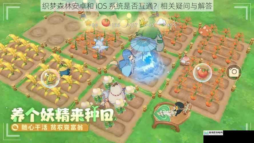 织梦森林安卓和 iOS 系统是否互通？相关疑问与解答