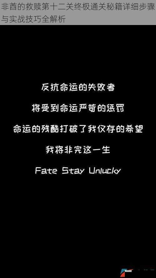 非酋的救赎第十二关终极通关秘籍详细步骤与实战技巧全解析