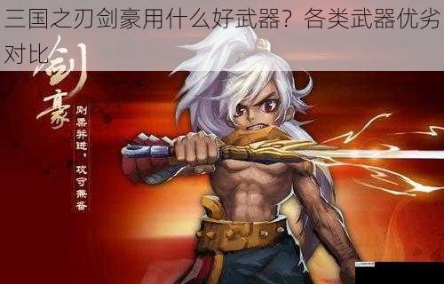 三国之刃剑豪用什么好武器？各类武器优劣对比