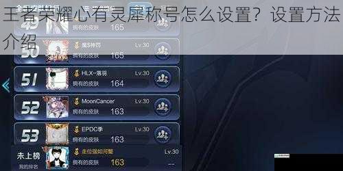 王者荣耀心有灵犀称号怎么设置？设置方法介绍