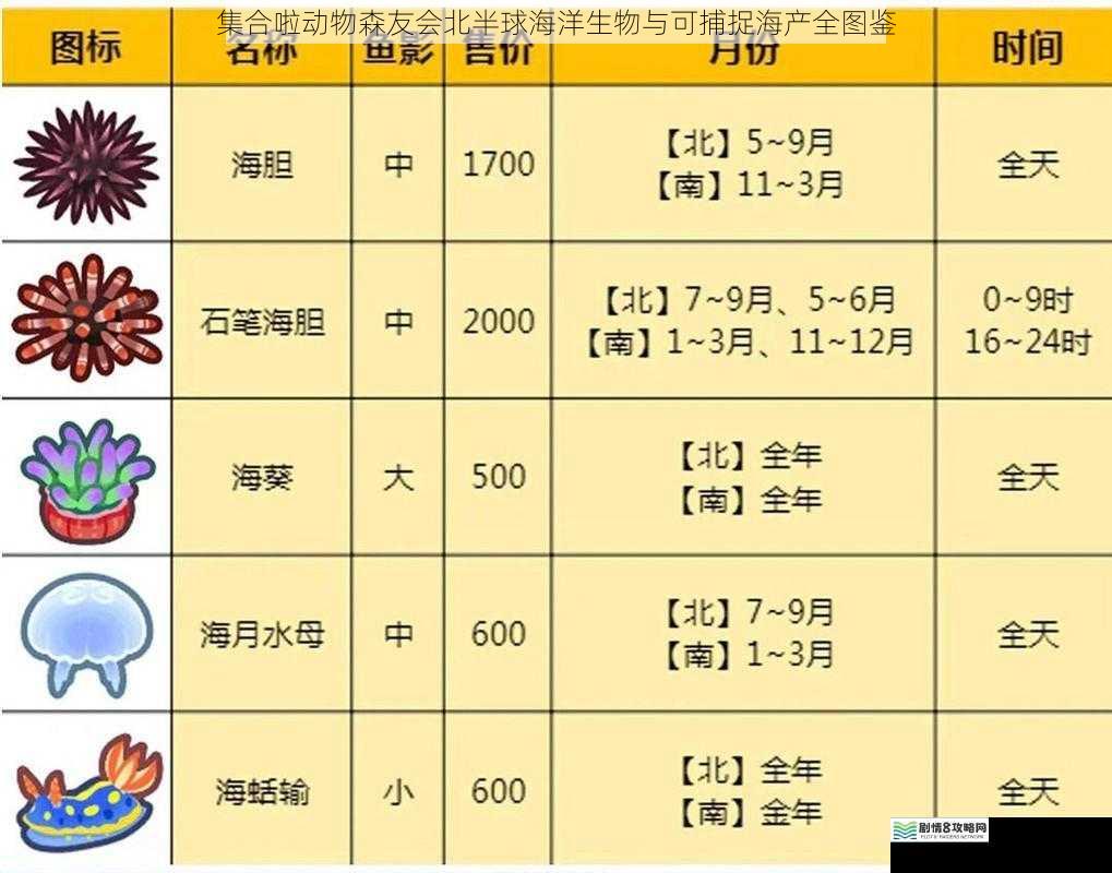 集合啦动物森友会北半球海洋生物与可捕捉海产全图鉴