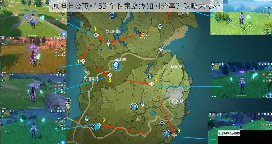 原神蒲公英籽 53 全收集路线如何分享？攻略大揭秘