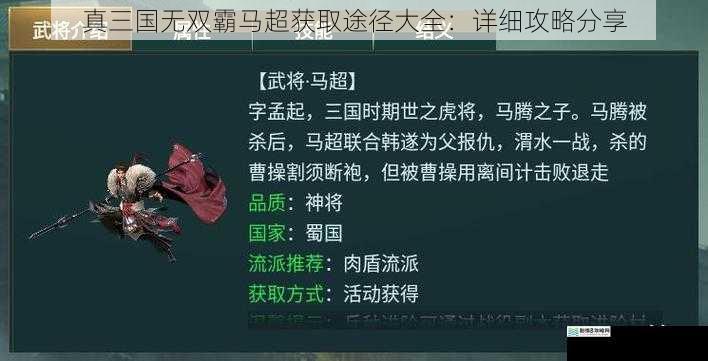 真三国无双霸马超获取途径大全：详细攻略分享