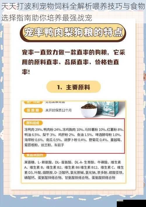 天天打波利宠物饲料全解析喂养技巧与食物选择指南助你培养最强战宠