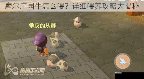 摩尔庄园牛怎么喂？详细喂养攻略大揭秘