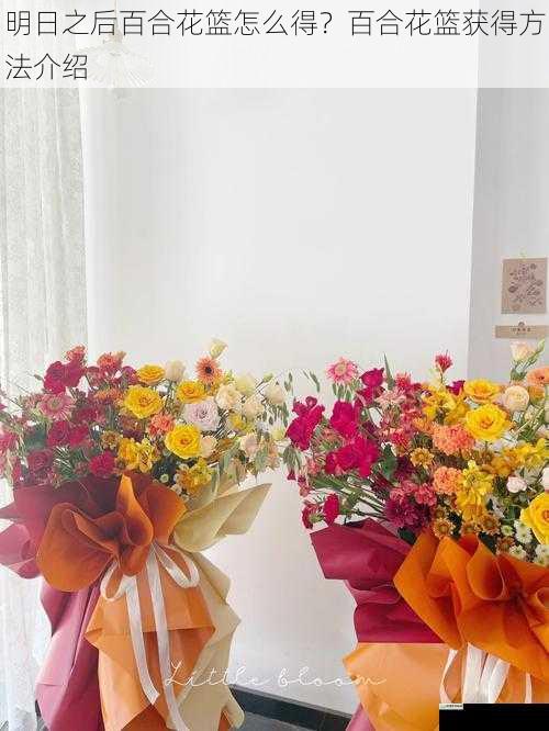 明日之后百合花篮怎么得？百合花篮获得方法介绍