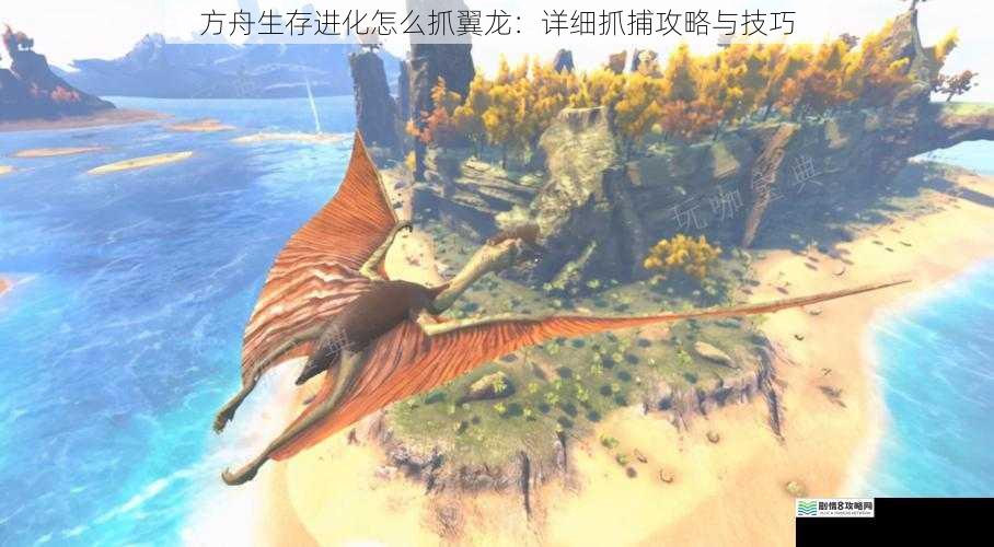 方舟生存进化怎么抓翼龙：详细抓捕攻略与技巧