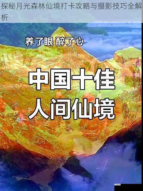 探秘月光森林仙境打卡攻略与摄影技巧全解析