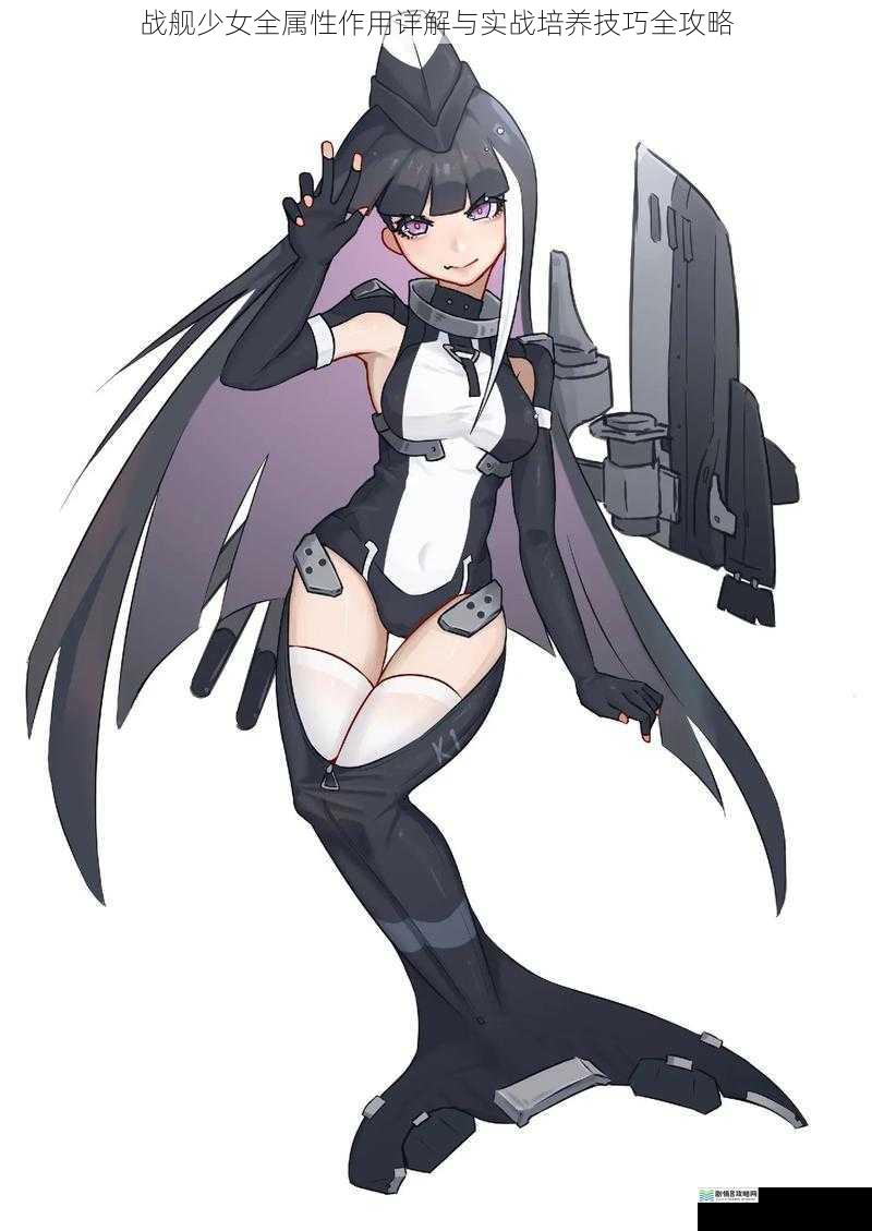 战舰少女全属性作用详解与实战培养技巧全攻略