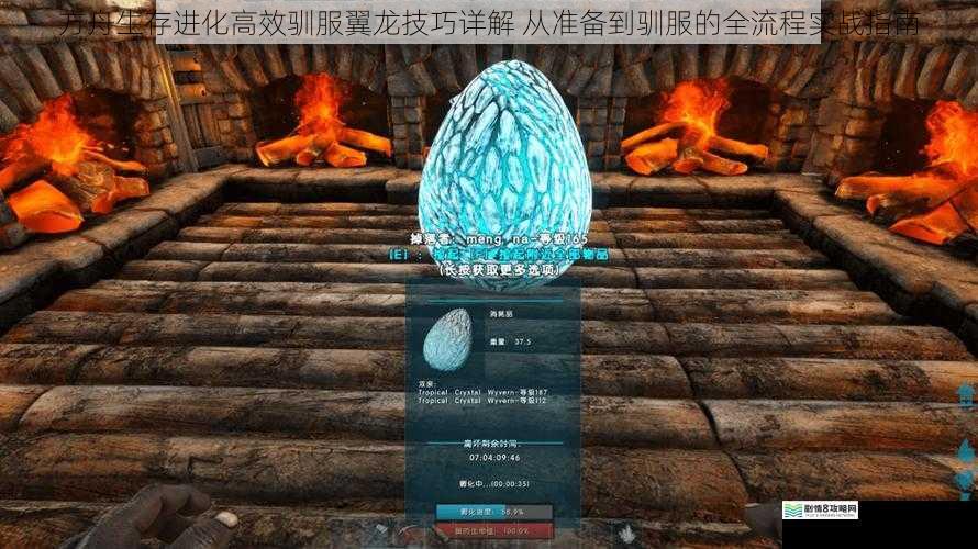 方舟生存进化高效驯服翼龙技巧详解 从准备到驯服的全流程实战指南