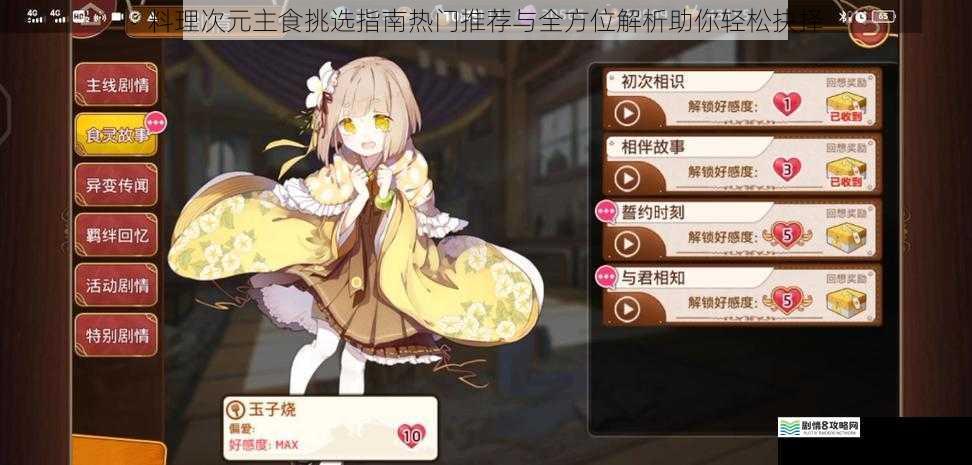 料理次元主食挑选指南热门推荐与全方位解析助你轻松抉择