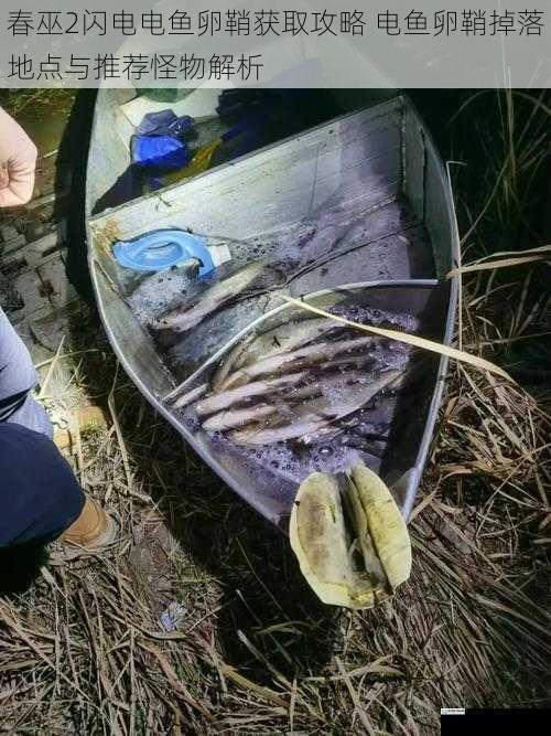 春巫2闪电电鱼卵鞘获取攻略 电鱼卵鞘掉落地点与推荐怪物解析