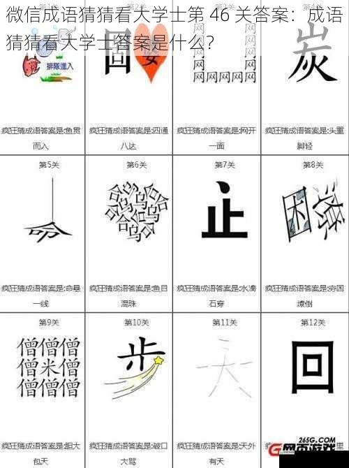 微信成语猜猜看大学士第 46 关答案：成语猜猜看大学士答案是什么？