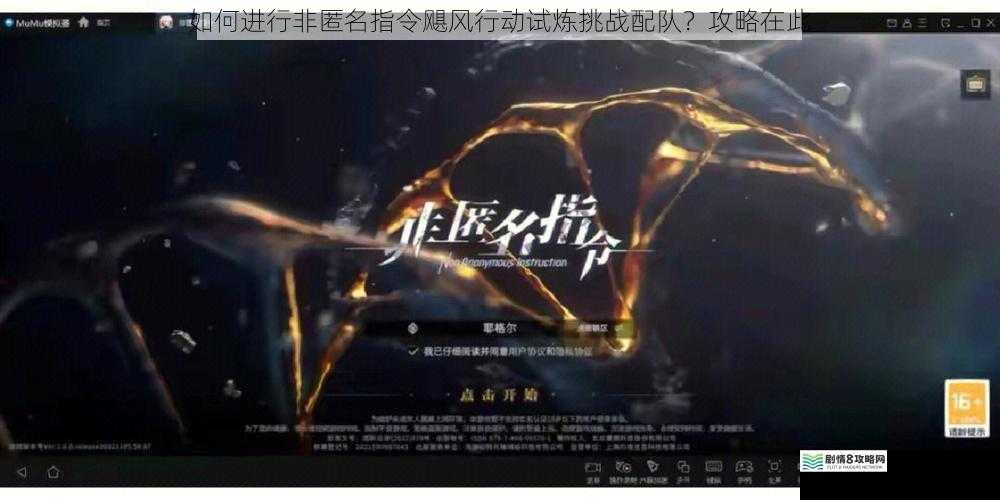 如何进行非匿名指令飓风行动试炼挑战配队？攻略在此