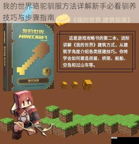 我的世界骆驼驯服方法详解新手必看驯养技巧与步骤指南