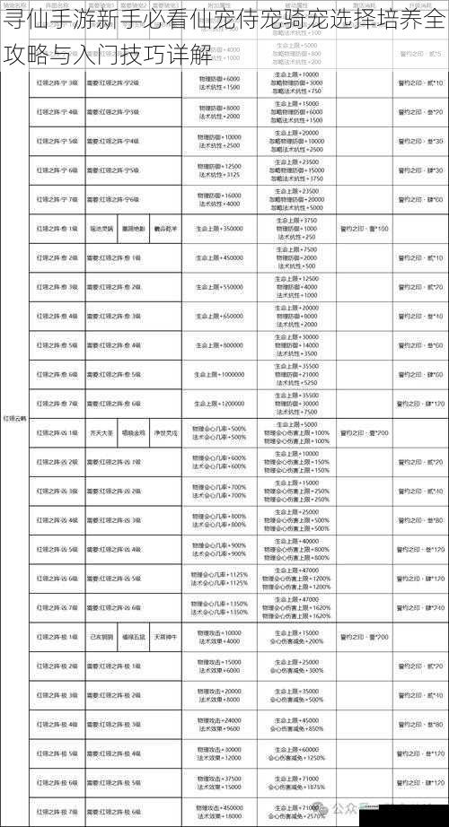 寻仙手游新手必看仙宠侍宠骑宠选择培养全攻略与入门技巧详解