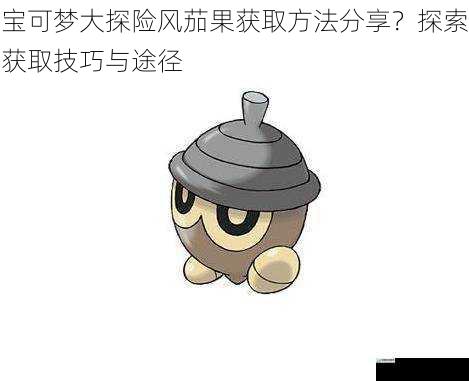 宝可梦大探险风茄果获取方法分享？探索获取技巧与途径