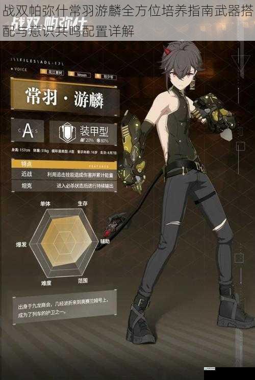 战双帕弥什常羽游麟全方位培养指南武器搭配与意识共鸣配置详解