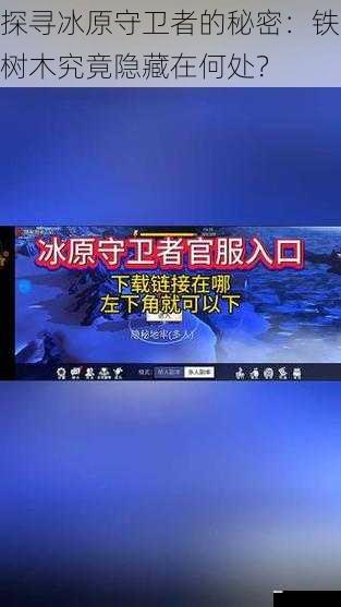 探寻冰原守卫者的秘密：铁树木究竟隐藏在何处？