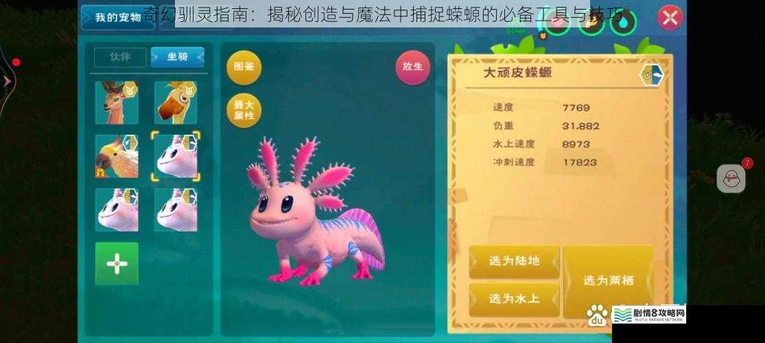 奇幻驯灵指南：揭秘创造与魔法中捕捉蝾螈的必备工具与技巧