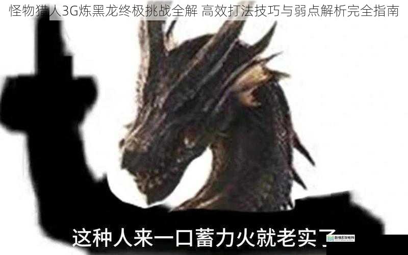 怪物猎人3G炼黑龙终极挑战全解 高效打法技巧与弱点解析完全指南