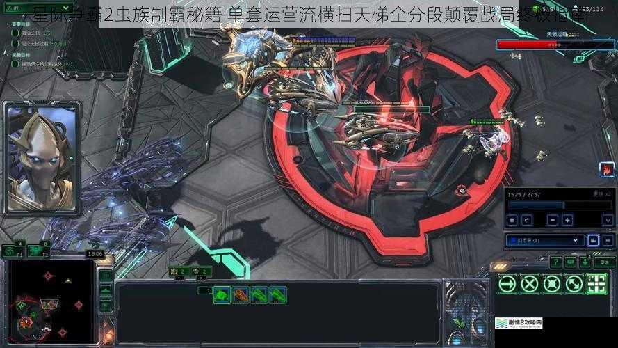 星际争霸2虫族制霸秘籍 单套运营流横扫天梯全分段颠覆战局终极指南