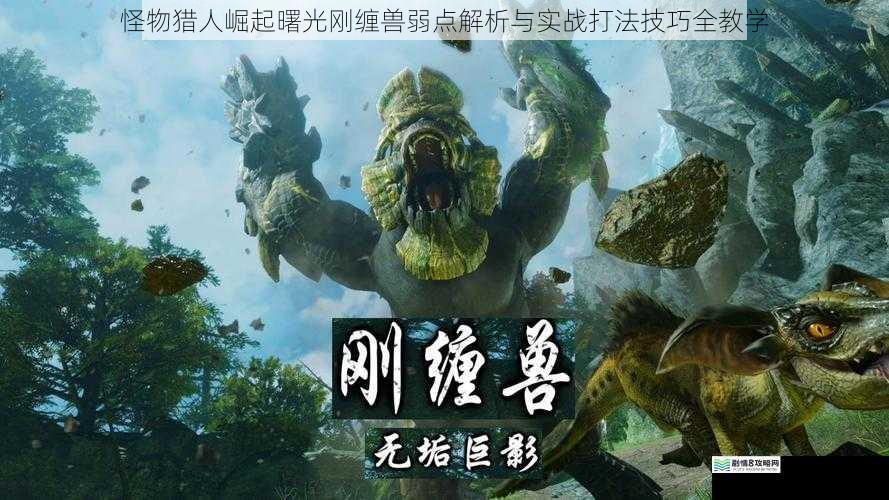 怪物猎人崛起曙光刚缠兽弱点解析与实战打法技巧全教学