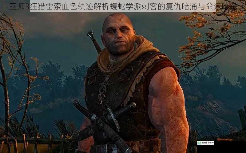 巫师3狂猎雷索血色轨迹解析蝮蛇学派刺客的复仇暗涌与命运暗线