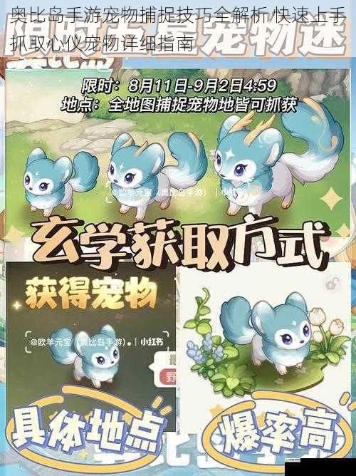 奥比岛手游宠物捕捉技巧全解析 快速上手抓取心仪宠物详细指南