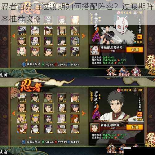 忍者百分百过渡期如何搭配阵容？过渡期阵容推荐攻略