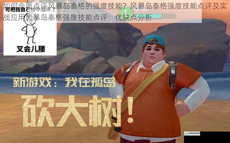 如何全面点评风暴岛泰格的强度技能？风暴岛泰格强度技能点评及实战应用风暴岛泰格强度技能点评：优缺点分析