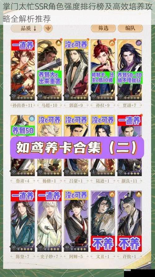 掌门太忙SSR角色强度排行榜及高效培养攻略全解析推荐