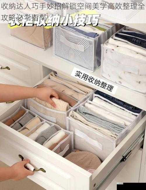 收纳达人巧手妙招解锁空间美学高效整理全攻略必学指南