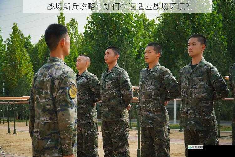 战场新兵攻略：如何快速适应战场环境？
