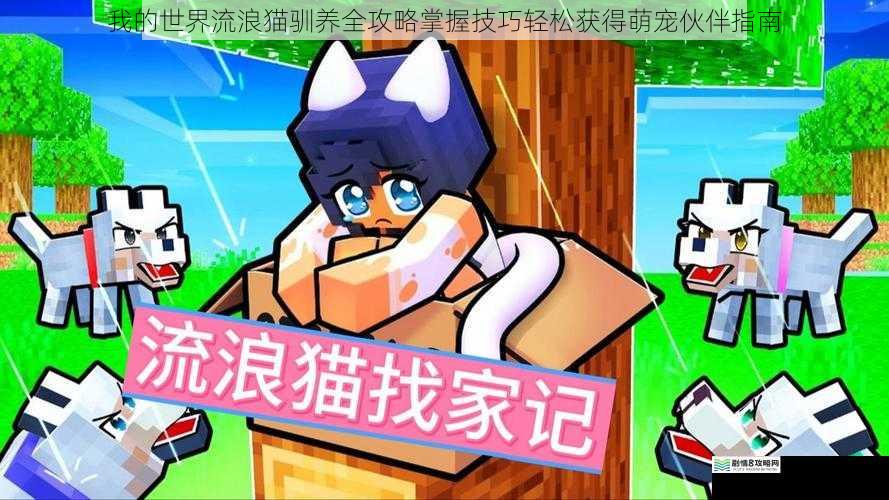 我的世界流浪猫驯养全攻略掌握技巧轻松获得萌宠伙伴指南