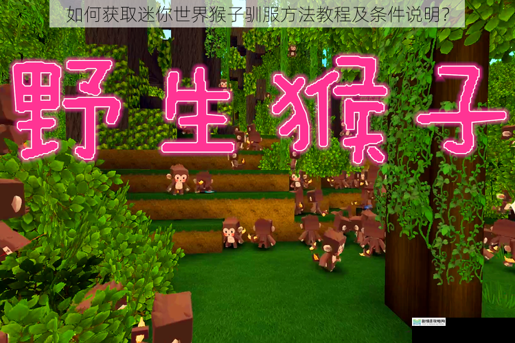 如何获取迷你世界猴子驯服方法教程及条件说明?